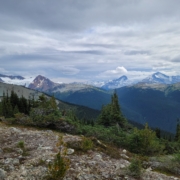 Whistler alpine photo